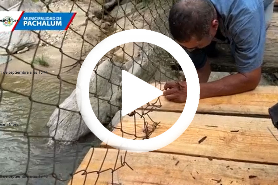 Ver video en Facebook
